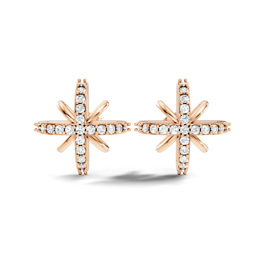 Round Shape Lab Grown & Natural Diamond Sinning Fabulous Unique Stud Diamond Earrings - HIGHCARAT DIAMONDS