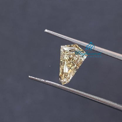 Unique Shield Cut Yellow Fancy Perfect Antique Lab Grown Diamond Use For Earring - HIGHCARAT DIAMONDS